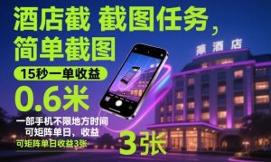 酒店截图任务，简单截图，15秒一单收益0.6米，一部手机不限地方时间，可矩阵单日收益3张【揭秘】-520资源库