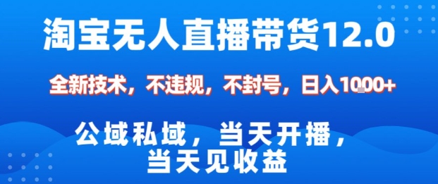 淘宝无人直播12.0，公域私域技术，不封号，不违规布局双十一流量风口，日入1k（独家技术）【揭秘】-520资源库