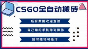 CSGO全自动搬砖，年底钱回家好项目，当天可拿到结果，新手小白轻松月入1W+【揭秘】-520资源库