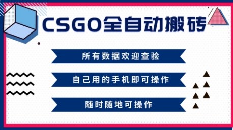 CSGO全自动搬砖，年底钱回家好项目，当天可拿到结果，新手小白轻松月入1W+【揭秘】-520资源库