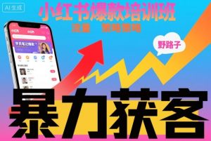 小红书爆款培训班，小红书获客野路子流量打法，暴力持续获客-520资源库