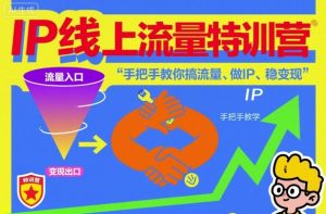 IP线上流量特训营，手把手教你搞流量、做IP、稳变现-520资源库