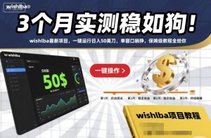 3个月实测稳如狗！wishlba最新项目，一键运行日入50美刀，单窗口躺挣，保姆级教程全给你【揭秘】-520资源库