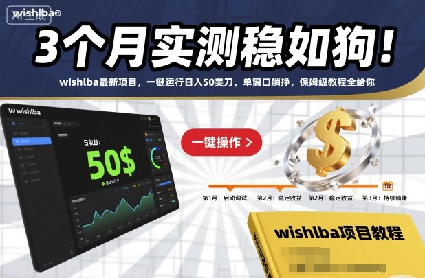 3个月实测稳如狗！wishlba最新项目，一键运行日入50美刀，单窗口躺挣，保姆级教程全给你【揭秘】-520资源库