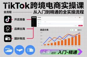 TikTok跨境电商实操课,从入门到精通的全实操流程-520资源库
