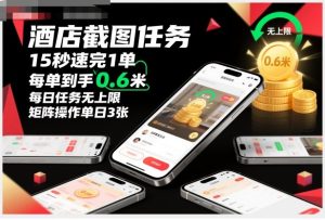 酒店截图任务，15秒速完1单，每单到手0.6米，每日任务无上限，全网首发玩法，矩阵操作单日3张【揭秘】-520资源库