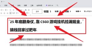 25年底翻身仗，靠CSGO游戏挂G捡漏掘金，搞钱回家过肥年【揭秘】-520资源库