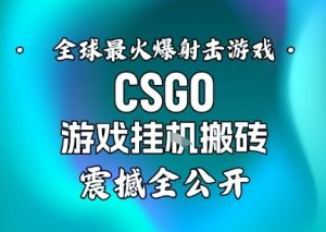 【年底大揭秘】基于全球最火爆的射击CSGO游戏挂G搬砖，日入5张+，震撼公开-520资源库