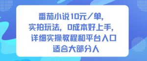 番茄小说10米每单，实拍玩法，0成本好上手，详细实操教程和平台入口适合大部分人-520资源库
