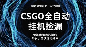【稳定副业】全球最热门游戏CSGO全自动捡漏，最新玩法，新手小白日入5张+【揭秘】-520资源库