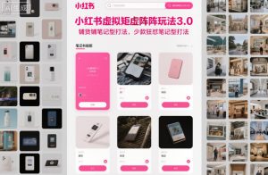 小红书虚拟矩阵玩法3.0，铺货铺笔记型打法，少款狂怼笔记型打法-520资源库