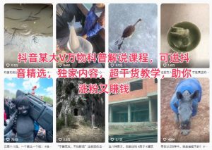 抖音某大V万物科普解说课程，可进抖音精选，独家内容，超干货教学，助你涨粉又賺钱-520资源库