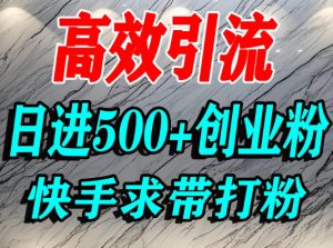 怎么打创业粉？快手求带视角精准引流创业粉，宝妈、学生群体日进500+精准流量-520资源库