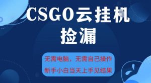 CSGO云挂G全自动捡漏,最新独家玩法,无需电脑操作,新手小白日入5张+【揭秘】-520资源库