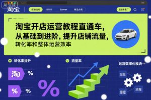 淘宝开店运营教程直通车，从基础到进阶，提升店铺流量，转化率和整体运营效率（更新11月）-520资源库