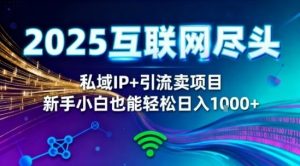 2025网创尽头王炸项目！私域IP+精准引流，新手小白在家躺賺日入1k，零经验也能上手【揭秘】-520资源库