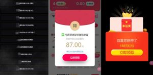 网络项目万能辅助工具_万能配合拉新项目吃遍提成-520资源库