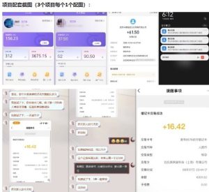 当天能收益的3个小项目拆解_包括平台+操作流程-520资源库
