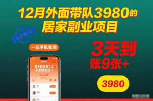 12月外面带队3980的居家副业项目,一部手机实测3天到账9张+,首发教程【揭秘】-520资源库
