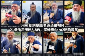 用AI复刻暴躁老道语录视频,21条作品涨粉8.8W,保姆级Sora2制作教学-520资源库