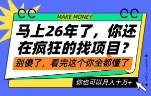 26年了,不要再疯狂的找项目了,看完这个你也可以月入十个W【揭秘】-520资源库