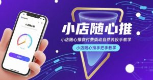 小店随心推微付费撬动自然流投手教学,小店随心推手把手教学-520资源库