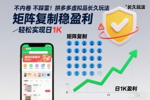 不内卷不踩雷!拼多多虚拟品长久玩法,矩阵复制稳盈利,轻松实现日1K【揭秘】-520资源库