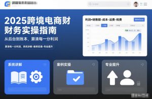 2025跨境电商财务实操指南,从后台到账本,算清每一分利润,系统讲解-案例实操-专业提升-520资源库