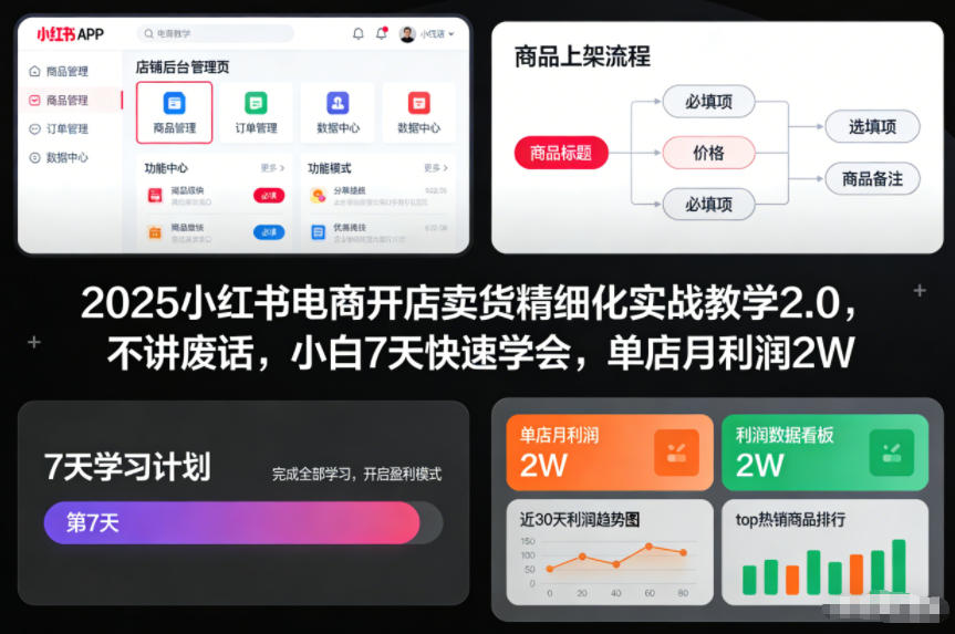 2025小红书电商开店卖货精细化实战教学2.0，不讲废话，小白7天快速学会，单店月利润2W-520资源库