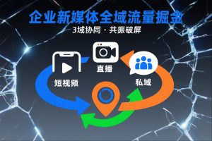 短视频全域商业模式，企业新媒体全域流量掘金，3域协同，共振破屏，短视频-直播-私域-地域-520资源库