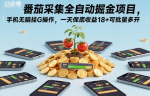 番茄采集全自动掘金项目,手机无脑挂G操作,一天保底收益18+可批量多开【揭秘】-520资源库