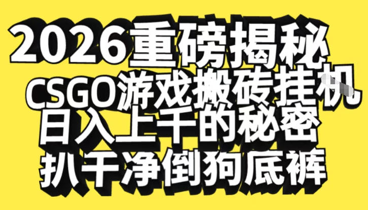 2026开年重磅解密，CSGO游戏搬砖挂G日入1k+的秘密，把倒狗的底裤扒干【揭秘】-520资源库