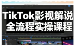 TikTok影视解说全流程实操，手把手教你打造TK爆款解说视频-520资源库
