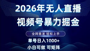 2026最新视频号无人直播掘金,全网首发,小白可以玩,长期稳定日入1k+【揭秘】-520资源库