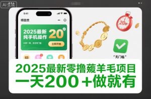 2025最新零撸薅羊毛项目,纯手机操作,20秒一单,无任何门槛,一天200+做就有【揭秘】-520资源库