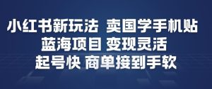 小红书新玩法，卖国学手机贴，蓝海项目，变现灵活，起号快，商单接到手软-520资源库