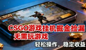 CSGO游戏挂G掘金捡漏，不需要玩游戏，操作简单，收益稳定【揭秘】-520资源库