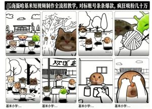 卤蛋哈基米短视频制作全流程教学，条条爆款，疯狂吸粉几十万-520资源库