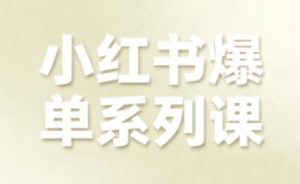 小红书爆单系列课，聚焦小红书电商全链路增长（更新）-520资源库