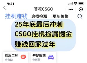 12月年底抓紧最后一个月,用CSGO游戏挂G捡漏掘金賺钱掘金,一部手机轻松日入5张+【揭秘】-520资源库