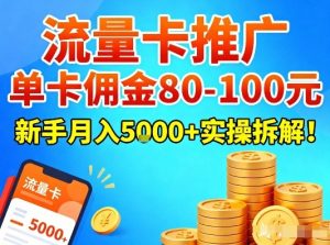 流量卡推广，单卡佣金80-100，新手月入5k+实操拆解！-520资源库