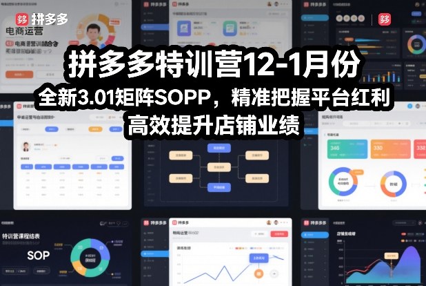 拼多多特训营12-1月份，全新3.01矩阵Sop，精准把握平台红利，高效提升店铺业绩-520资源库