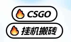 真全网独家CSGO挂G，最新玩法,单日捡漏1K+，不用电脑，不用打游戏【揭秘】-520资源库