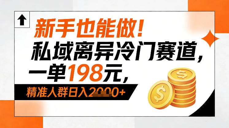 新手也能做！私域离异冷门赛道，一单198，精准人群日入1k+-520资源库