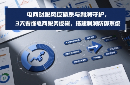 电商财税风控体系与利润守护，3天看懂电商税务逻辑，搭建利润防御系统-520资源库