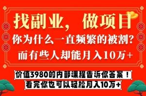 价值3980的网创内部课程，告诉你互联网创业月入10个W的秘密【揭秘】-520资源库