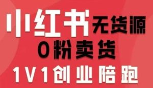 小红书无货源0粉电商课，开店准备、选品策略、笔记撰写、视频剪辑、数据分析、账号打造、资料文档（更新）-520资源库
