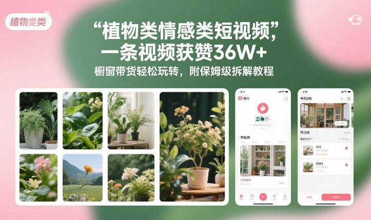 植物类情感类短视频，一条视频获赞36W+，橱窗带货轻松玩转，附保姆级拆解教程-520资源库