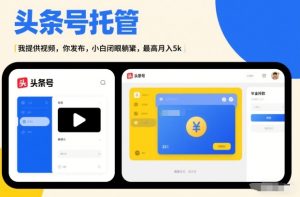 头条号AI托管，我提供视频，你发布，小白闭眼躺賺，最高月入5k+【揭秘】-520资源库