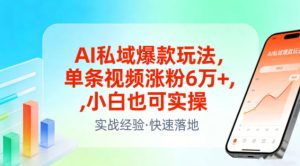 AI私域爆款玩法，单条视频涨粉6W+，小白也可实操-520资源库